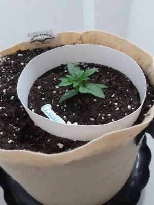 20231015_084915.jpg 20231015_084915.jpg