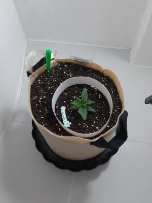 20231015_084936.jpg 20231015_084936.jpg