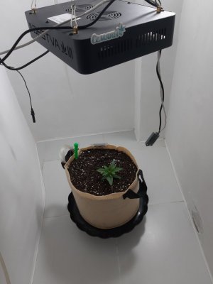 20231015_085959.jpg 20231015_085959.jpg