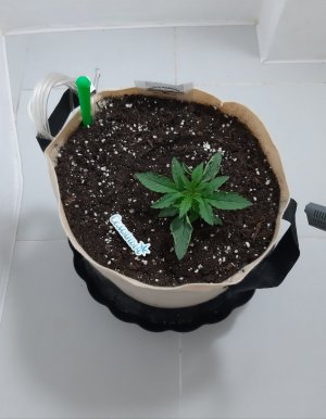 20231015_090559.jpg 20231015_090559.jpg