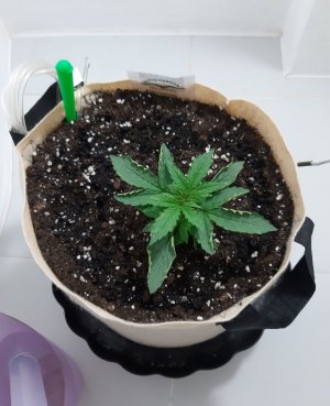 20231015_150826.jpg 20231015_150826.jpg