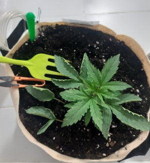 20231015_153309.jpg 20231015_153309.jpg