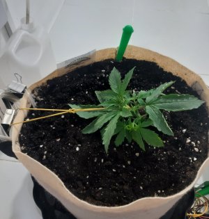 20231015_153241.jpg 20231015_153241.jpg