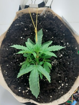 20231015_153223.jpg 20231015_153223.jpg