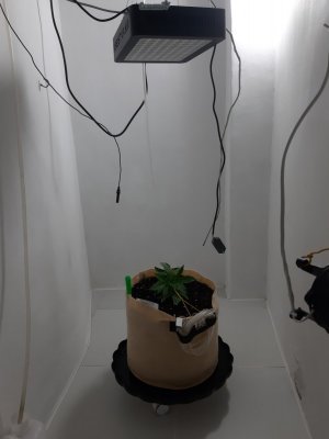 20231015_153209.jpg 20231015_153209.jpg