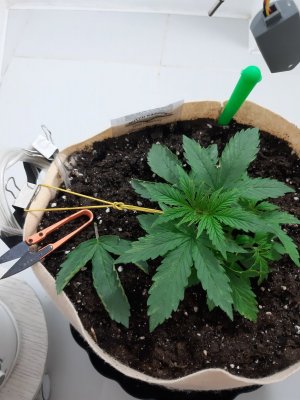 20231015_155846.jpg 20231015_155846.jpg