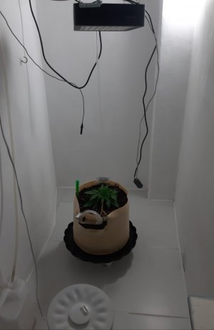 20231015_163757.jpg 20231015_163757.jpg