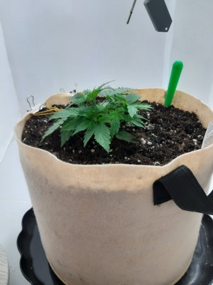 20231015_163830.jpg 20231015_163830.jpg