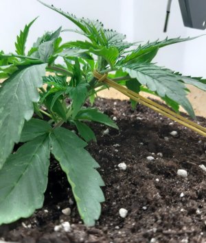 20231015_203247.jpg 20231015_203247.jpg