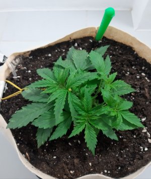 20231015_203504.jpg 20231015_203504.jpg