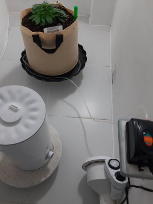 20231015_203526.jpg 20231015_203526.jpg