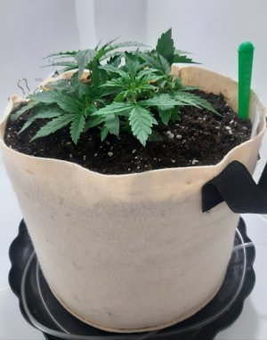 20231016_191356.jpg 20231016_191356.jpg