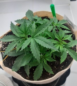 20231016_191756.jpg 20231016_191756.jpg