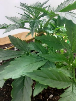 20231016_191926.jpg 20231016_191926.jpg