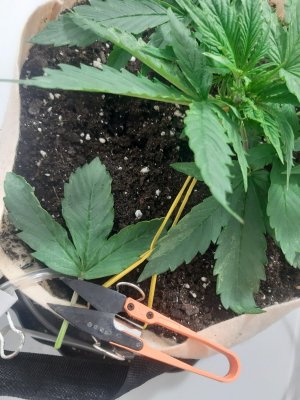 20231016_192007.jpg 20231016_192007.jpg