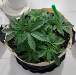 20231016_200931.jpg 20231016_200931.jpg