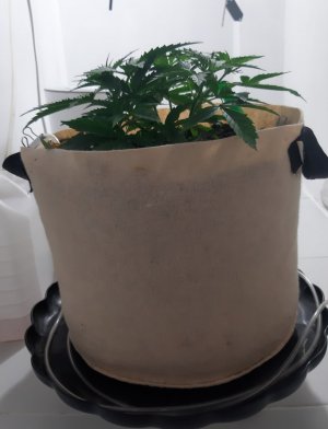 20231016_201024.jpg 20231016_201024.jpg