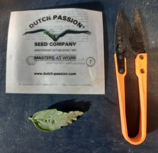 20231016_201042.jpg 20231016_201042.jpg