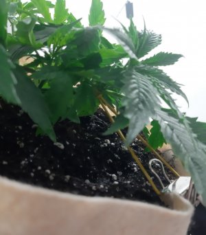 20231016_202305.jpg 20231016_202305.jpg