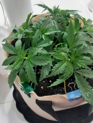 20231016_202249.jpg 20231016_202249.jpg