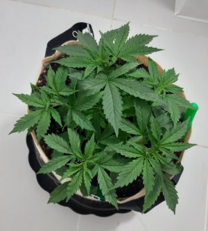 20231017_193859.jpg 20231017_193859.jpg