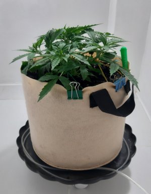 20231017_193611.jpg 20231017_193611.jpg