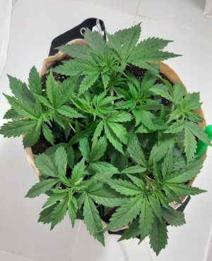 20231017_193717.jpg 20231017_193717.jpg