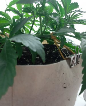 20231017_195829.jpg 20231017_195829.jpg