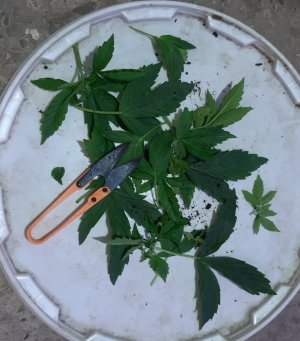 20231017_195931.jpg 20231017_195931.jpg