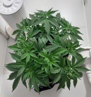 20231017_210920.jpg 20231017_210920.jpg