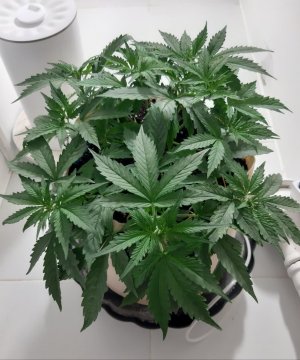 20231017_210853.jpg 20231017_210853.jpg