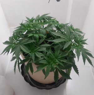 20231019_192507.jpg 20231019_192507.jpg