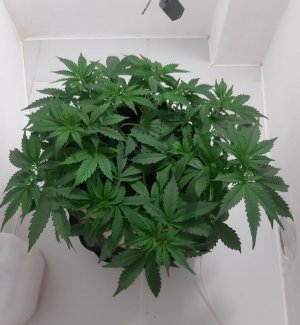 20231019_194121.jpg 20231019_194121.jpg