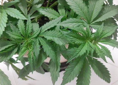 20231019_193853.jpg 20231019_193853.jpg