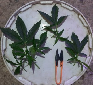 20231019_195228.jpg 20231019_195228.jpg