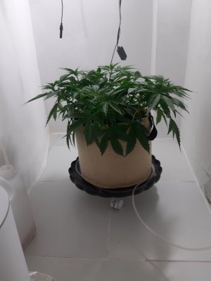 20231019_204011.jpg 20231019_204011.jpg