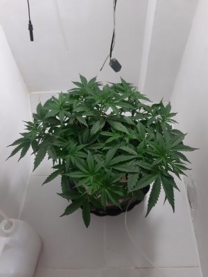 20231019_203935.jpg 20231019_203935.jpg