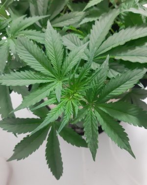 20231019_204031.jpg 20231019_204031.jpg