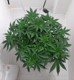 20231019_204604.jpg 20231019_204604.jpg