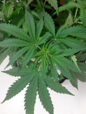 20231021_094707.jpg 20231021_094707.jpg