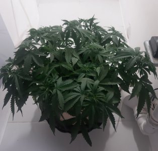 20231021_112552.jpg 20231021_112552.jpg