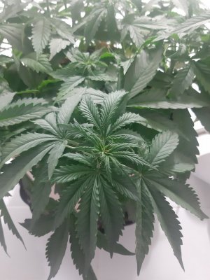 20231021_112625.jpg 20231021_112625.jpg