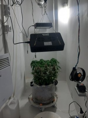 20231021_112730.jpg 20231021_112730.jpg