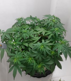 20231021_115124.jpg 20231021_115124.jpg