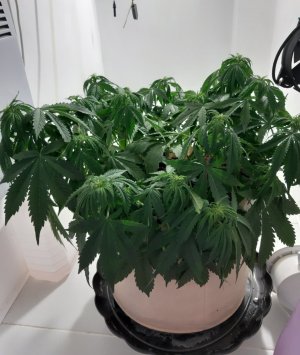 20231021_122407.jpg 20231021_122407.jpg