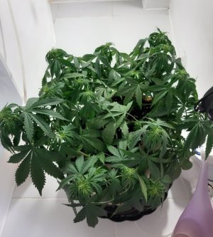 20231021_122352.jpg 20231021_122352.jpg