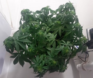 20231021_122308.jpg 20231021_122308.jpg