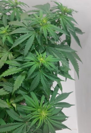 20231021_155353.jpg 20231021_155353.jpg