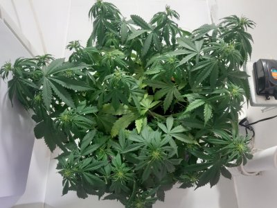 20231021_191920.jpg 20231021_191920.jpg