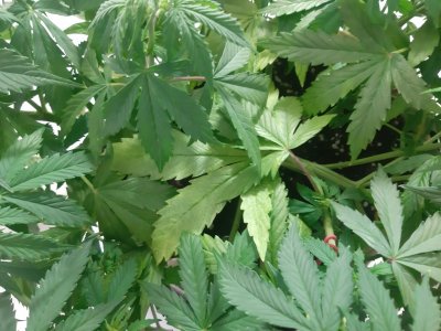 20231021_191938.jpg 20231021_191938.jpg